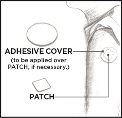 Figure 1 (Figure 1)